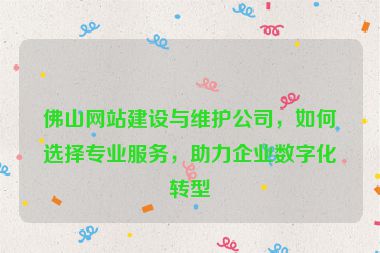 佛山網(wǎng)站建設(shè)與維護(hù)公司，如何選擇專業(yè)服務(wù)，助力企業(yè)數(shù)字化轉(zhuǎn)型