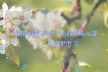 廣州網(wǎng)站建設(shè)中HTTPS加密與SSL證書(shū)選擇指南