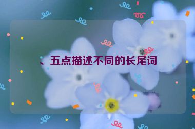 、五點(diǎn)描述不同的長尾詞
