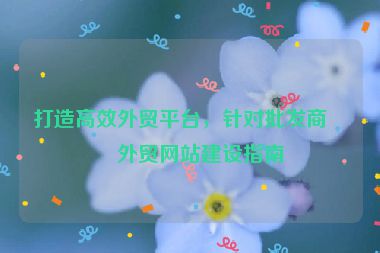 打造高效外貿(mào)平臺，針對批發(fā)商的外貿(mào)網(wǎng)站建設(shè)指南