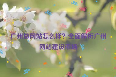 廣州做網(wǎng)站怎么樣？全面解析廣州網(wǎng)站建設(shè)市場(chǎng)