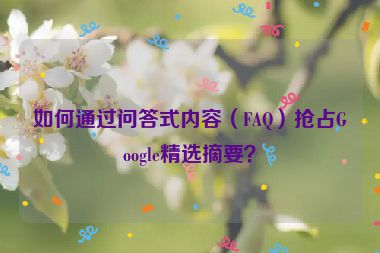 如何通過問答式內(nèi)容（FAQ）搶占Google精選摘要？