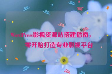 WordPress影視資源站搭建指南，從零開始打造專業(yè)影視平臺(tái)