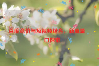 百度競(jìng)價(jià)與短視頻結(jié)合，新流量入口探索