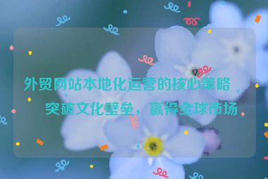 外貿(mào)網(wǎng)站本地化運(yùn)營(yíng)的核心策略，突破文化壁壘，贏得全球市場(chǎng)