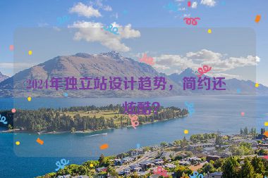 2024年獨立站設(shè)計趨勢，簡約還是炫酷？