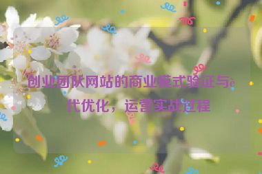 創(chuàng)業(yè)團(tuán)隊(duì)網(wǎng)站的商業(yè)模式驗(yàn)證與迭代優(yōu)化，運(yùn)營(yíng)實(shí)戰(zhàn)過程