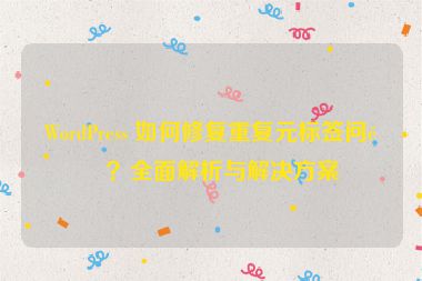 WordPress 如何修復重復元標簽問題？全面解析與解決方案
