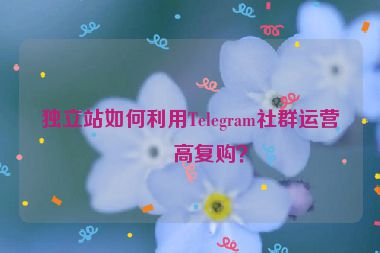 獨(dú)立站如何利用Telegram社群運(yùn)營提高復(fù)購？