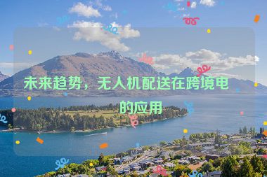 未來趨勢，無人機配送在跨境電商的應用