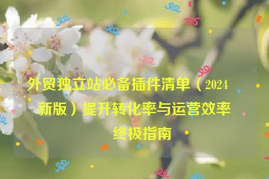 外貿(mào)獨立站必備插件清單(2024最新版)提升轉(zhuǎn)化率與運營效率的終極指南