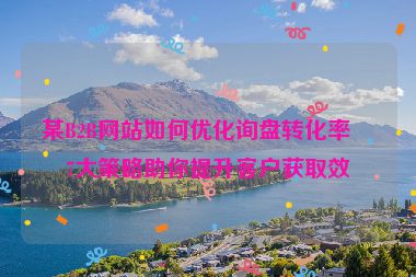 某B2B網(wǎng)站如何優(yōu)化詢盤轉(zhuǎn)化率？7大策略助你提升客戶獲取效率