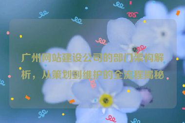 廣州網(wǎng)站建設(shè)公司的部門架構(gòu)解析，從策劃到維護(hù)的全流程揭秘