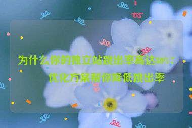 為什么你的獨(dú)立站跳出率高達(dá)80%7個優(yōu)化方案幫你降低跳出率