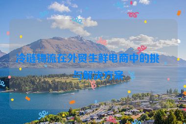 冷鏈物流在外貿生鮮電商中的挑戰(zhàn)與解決方案