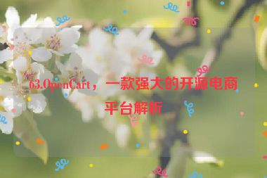 63.OpenCart，一款強(qiáng)大的開源電商平臺解析