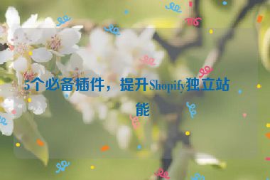 5個(gè)必備插件，提升Shopify獨(dú)立站功能