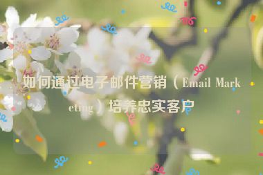 如何通過電子郵件營(yíng)銷（Email Marketing）培養(yǎng)忠實(shí)客戶