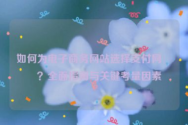 如何為電子商務(wù)網(wǎng)站選擇支付網(wǎng)關(guān)？全面指南與關(guān)鍵考量因素