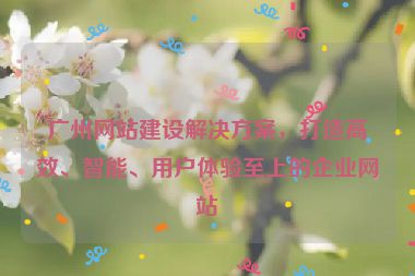 廣州網(wǎng)站建設(shè)解決方案，打造高效、智能、用戶體驗(yàn)至上的企業(yè)網(wǎng)站