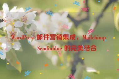 WordPress 郵件營(yíng)銷集成，Mailchimp 與 Sendinblue 的完美結(jié)合
