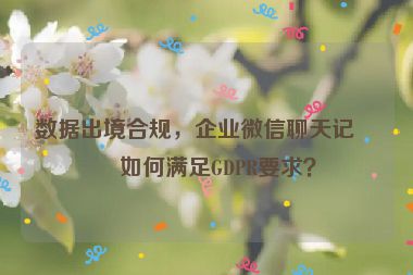 數(shù)據(jù)出境合規(guī)，企業(yè)微信聊天記錄如何滿足GDPR要求？