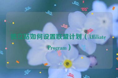 獨立站如何設置聯(lián)盟計劃（Affiliate Program）