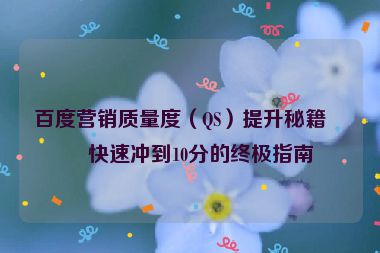 百度營銷質(zhì)量度（QS）提升秘籍，快速?zèng)_到10分的終極指南
