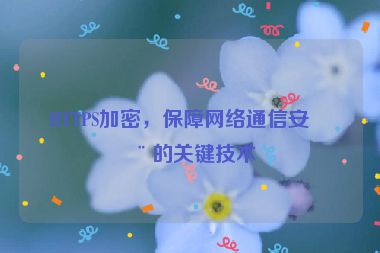 HTTPS加密，保障網(wǎng)絡(luò)通信安全的關(guān)鍵技術(shù)