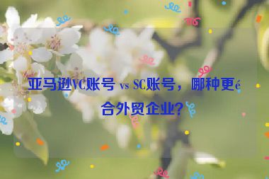 亞馬遜VC賬號(hào) vs SC賬號(hào)，哪種更適合外貿(mào)企業(yè)？