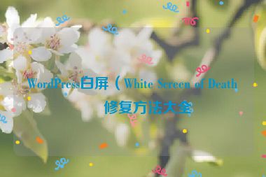 WordPress白屏（White Screen of Death）修復(fù)方法大全