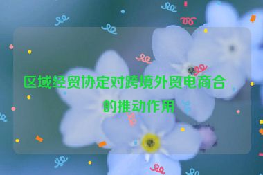 區(qū)域經(jīng)貿(mào)協(xié)定對(duì)跨境外貿(mào)電商合作的推動(dòng)作用