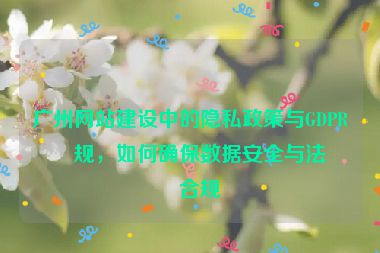 廣州網(wǎng)站建設(shè)中的隱私政策與GDPR合規(guī)，如何確保數(shù)據(jù)安全與法律合規(guī)