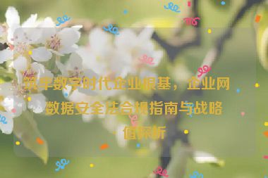 筑牢數(shù)字時(shí)代企業(yè)根基，企業(yè)網(wǎng)站數(shù)據(jù)安全法合規(guī)指南與戰(zhàn)略價(jià)值探析