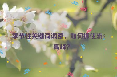 季節(jié)性關(guān)鍵詞調(diào)整，如何抓住流量高峰？