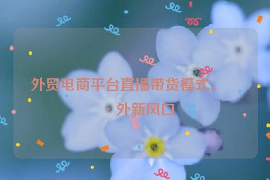 外貿(mào)電商平臺(tái)直播帶貨模式，海外新風(fēng)口