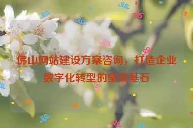 佛山網(wǎng)站建設方案咨詢，打造企業(yè)數(shù)字化轉(zhuǎn)型的堅實基石