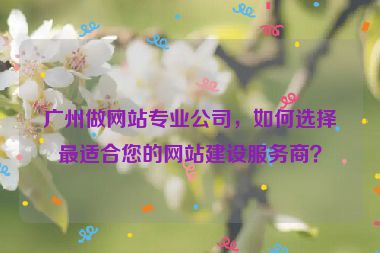 廣州做網(wǎng)站專業(yè)公司，如何選擇最適合您的網(wǎng)站建設(shè)服務(wù)商？