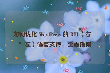 如何優(yōu)化 WordPress 的 RTL（右到左）語言支持，全面指南