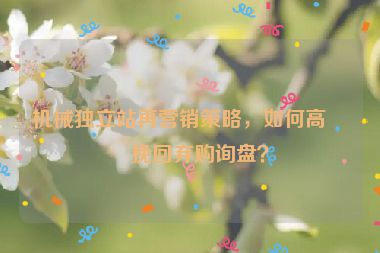 機械獨立站再營銷策略，如何高效挽回棄購詢盤？