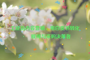 工業(yè)品內(nèi)容營銷，用白皮書轉(zhuǎn)化工程師與采購決策者