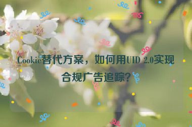 Cookie替代方案，如何用UID 2.0實(shí)現(xiàn)合規(guī)廣告追蹤？