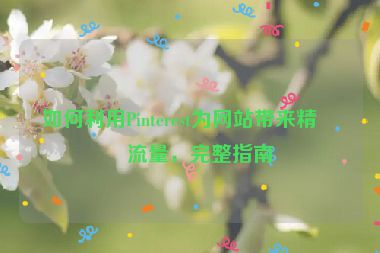 如何利用Pinterest為網(wǎng)站帶來(lái)精準(zhǔn)流量，完整指南