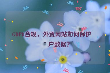 GDPR合規(guī)，外貿(mào)網(wǎng)站如何保護(hù)用戶數(shù)據(jù)？