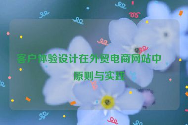 客戶體驗(yàn)設(shè)計(jì)在外貿(mào)電商網(wǎng)站中的原則與實(shí)踐