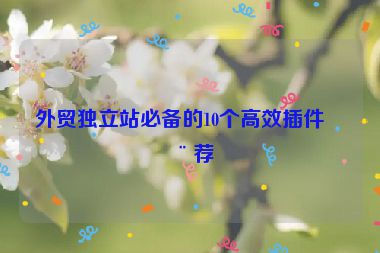 外貿(mào)獨(dú)立站必備的10個(gè)高效插件推薦