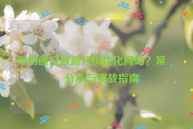 如何通過數(shù)據(jù)分析優(yōu)化網(wǎng)站？案例分享與實戰(zhàn)指南