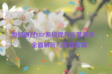如何通過ERP系統(tǒng)提升運營效率，全面解析與實踐指南