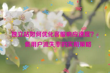 獨(dú)立站如何優(yōu)化客服響應(yīng)速度？降低用戶流失率的實(shí)用策略