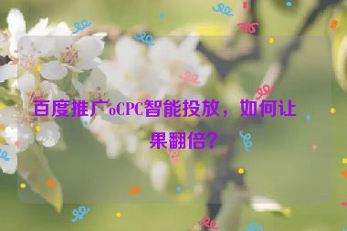百度推廣oCPC智能投放，如何讓效果翻倍？
